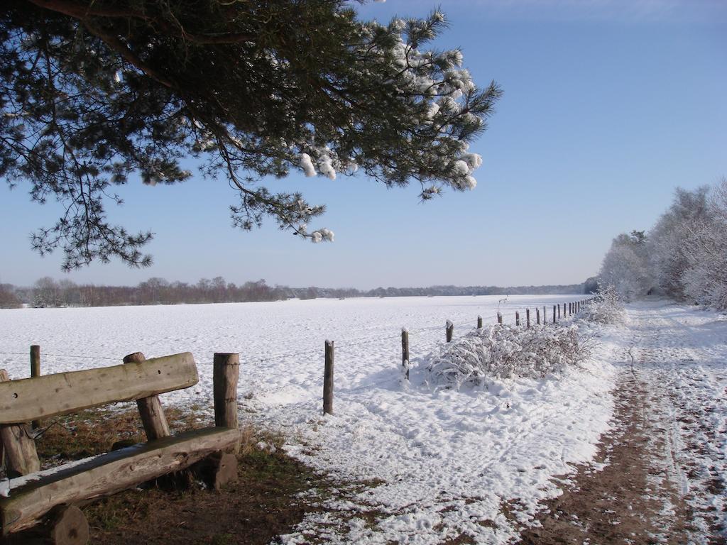 B&B De Grote Plaats Hoogstraten Luaran gambar