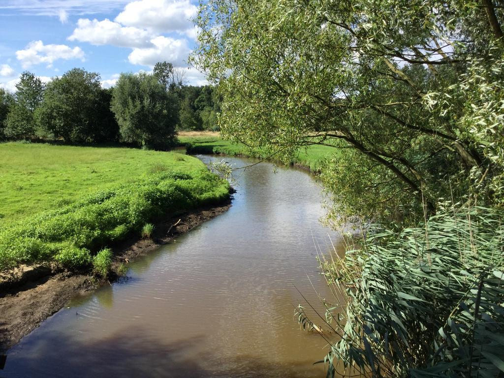 B&B De Grote Plaats Hoogstraten Luaran gambar