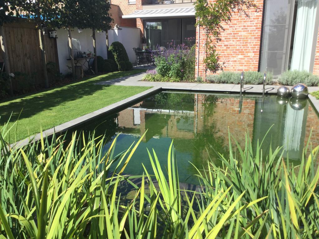 B&B De Grote Plaats Hoogstraten Luaran gambar