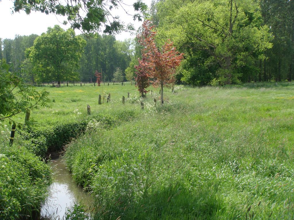 B&B De Grote Plaats Hoogstraten Luaran gambar