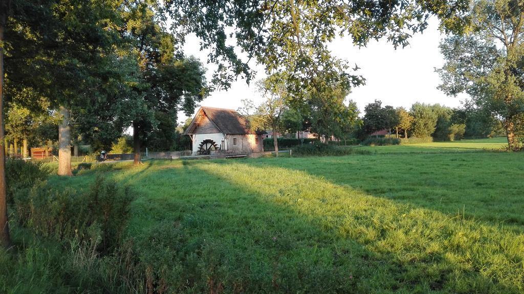B&B De Grote Plaats Hoogstraten Luaran gambar