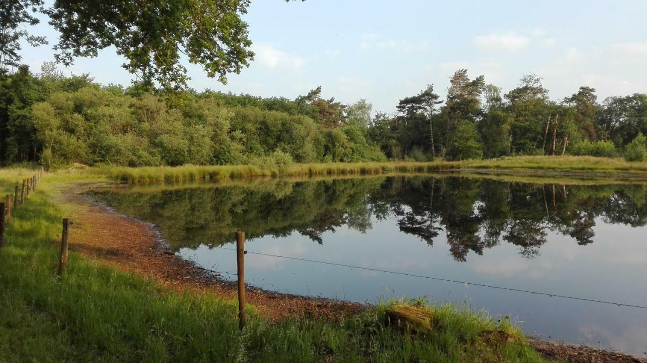 B&B De Grote Plaats Hoogstraten Luaran gambar